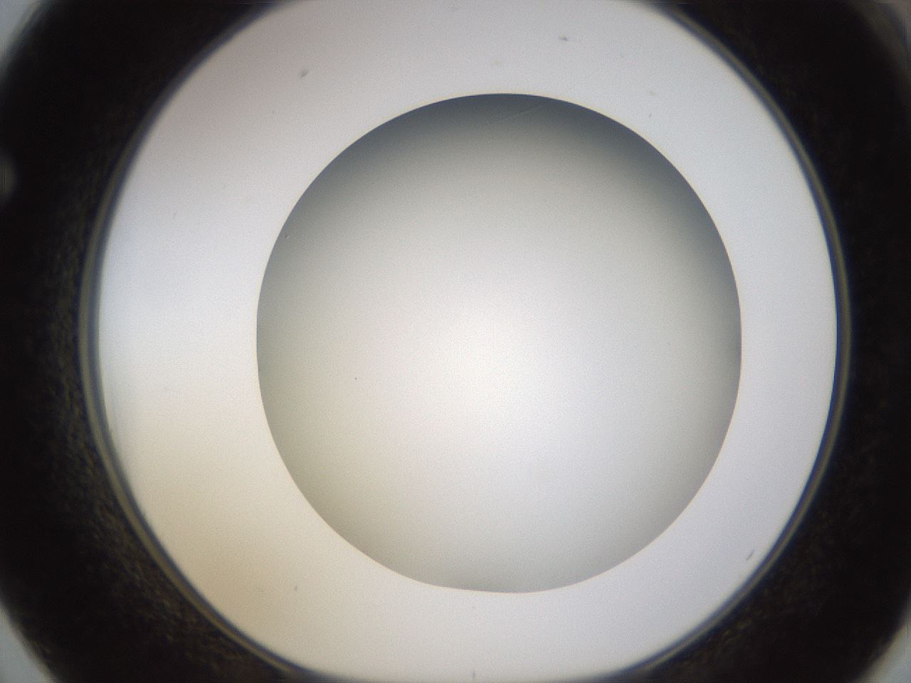 folderID571_plateID1571_batchID6357_wellNum62_profileID1_d1_r102604_ef.jpg