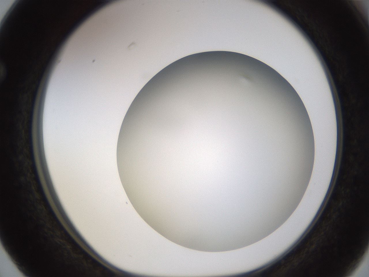 folderID571_plateID1571_batchID6357_wellNum63_profileID1_d1_r102605_ef.jpg