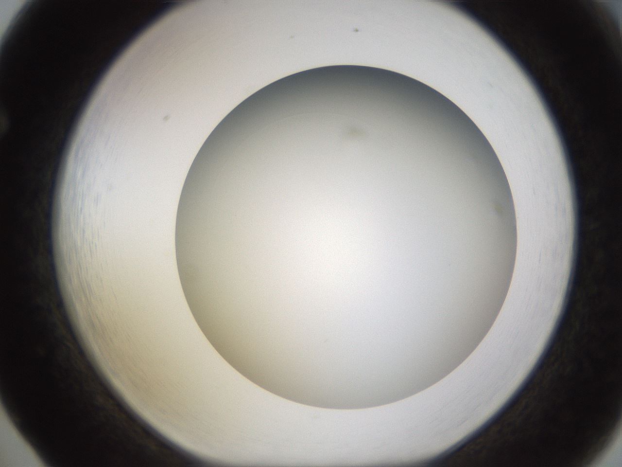 folderID571_plateID1571_batchID6357_wellNum65_profileID1_d1_r102607_ef.jpg