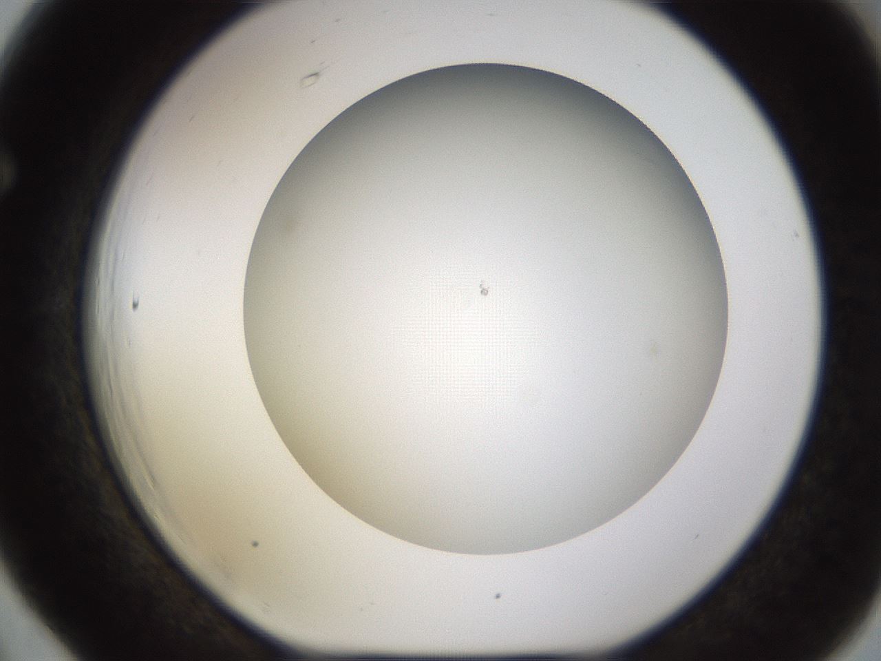 folderID571_plateID1571_batchID6357_wellNum66_profileID1_d1_r102608_ef.jpg