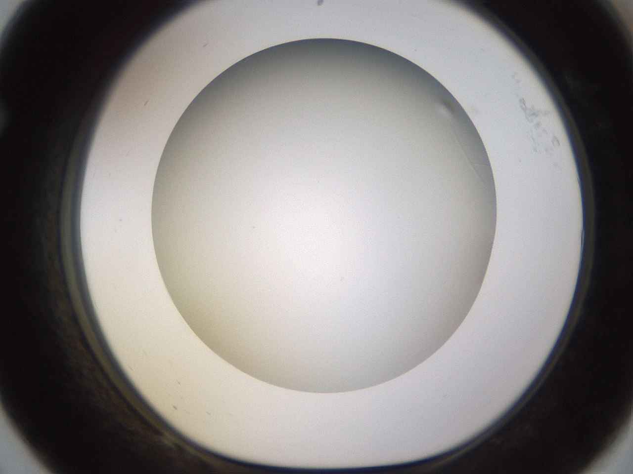 folderID571_plateID1571_batchID6357_wellNum68_profileID1_d1_r102610_ef.jpg