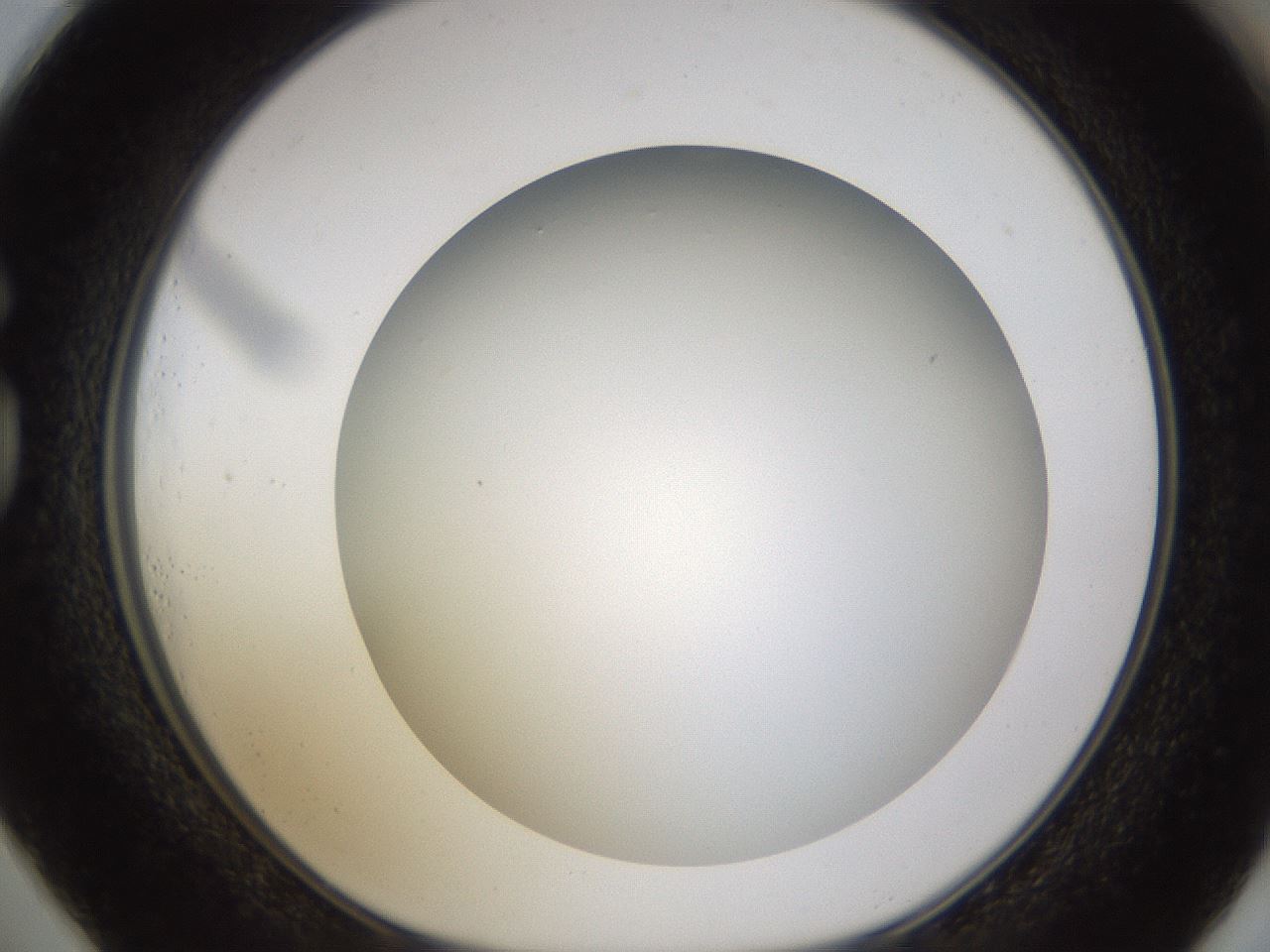folderID571_plateID1571_batchID6357_wellNum73_profileID1_d1_r102615_ef.jpg