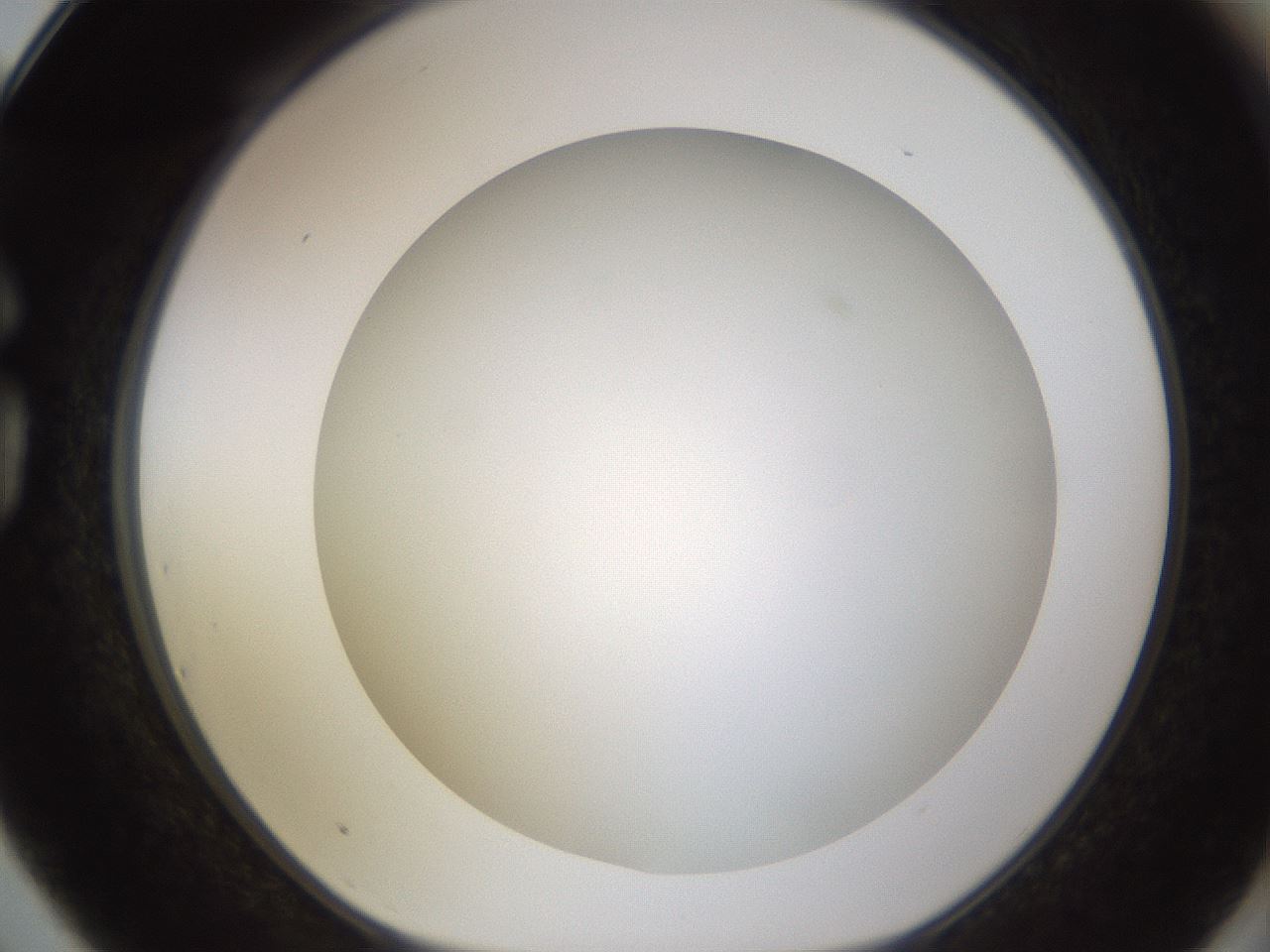 folderID571_plateID1571_batchID6357_wellNum75_profileID1_d1_r102617_ef.jpg