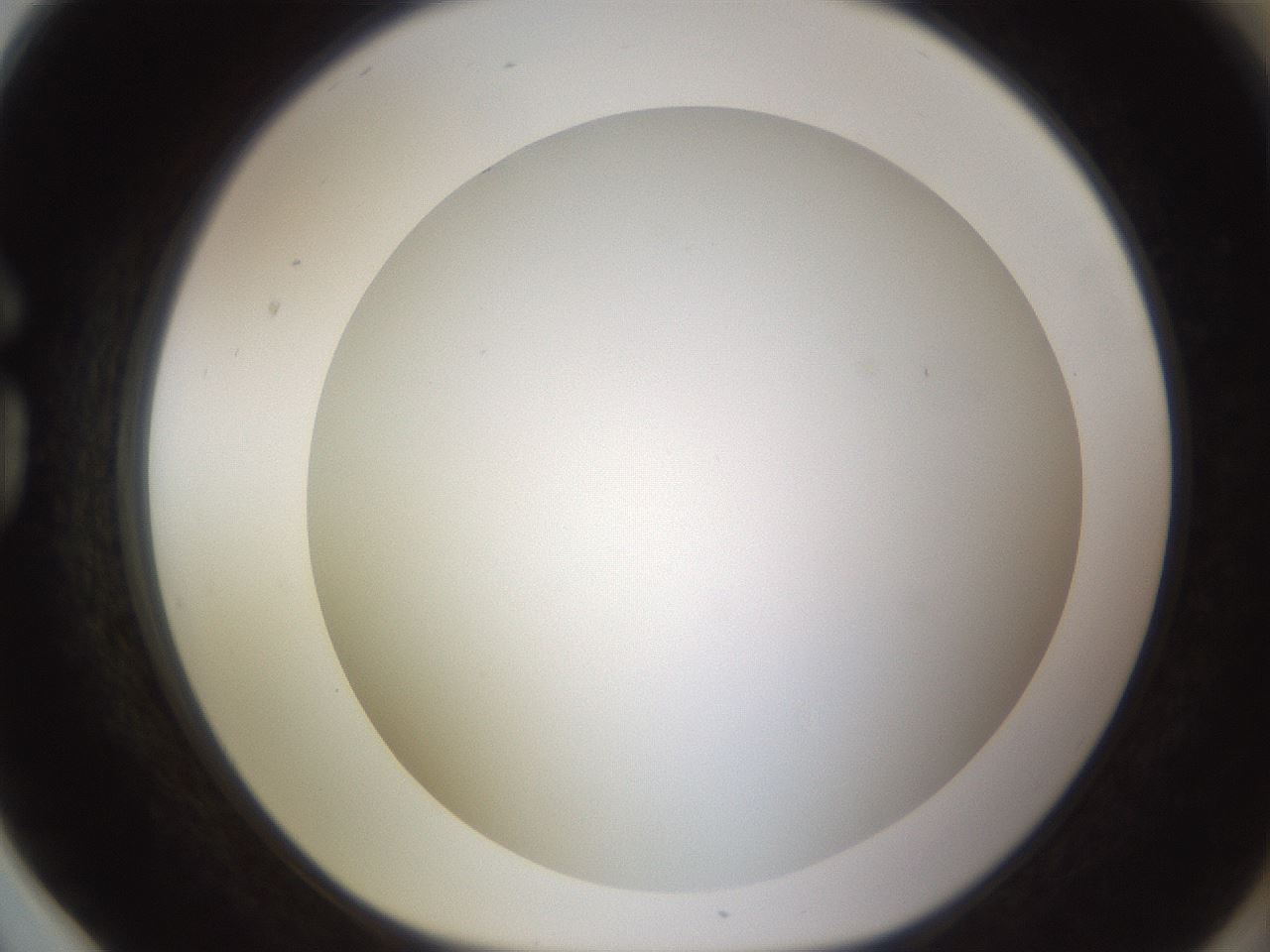 folderID571_plateID1571_batchID6357_wellNum78_profileID1_d1_r102620_ef.jpg