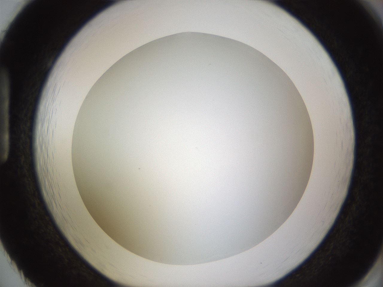 folderID571_plateID1571_batchID6357_wellNum86_profileID1_d1_r102628_ef.jpg