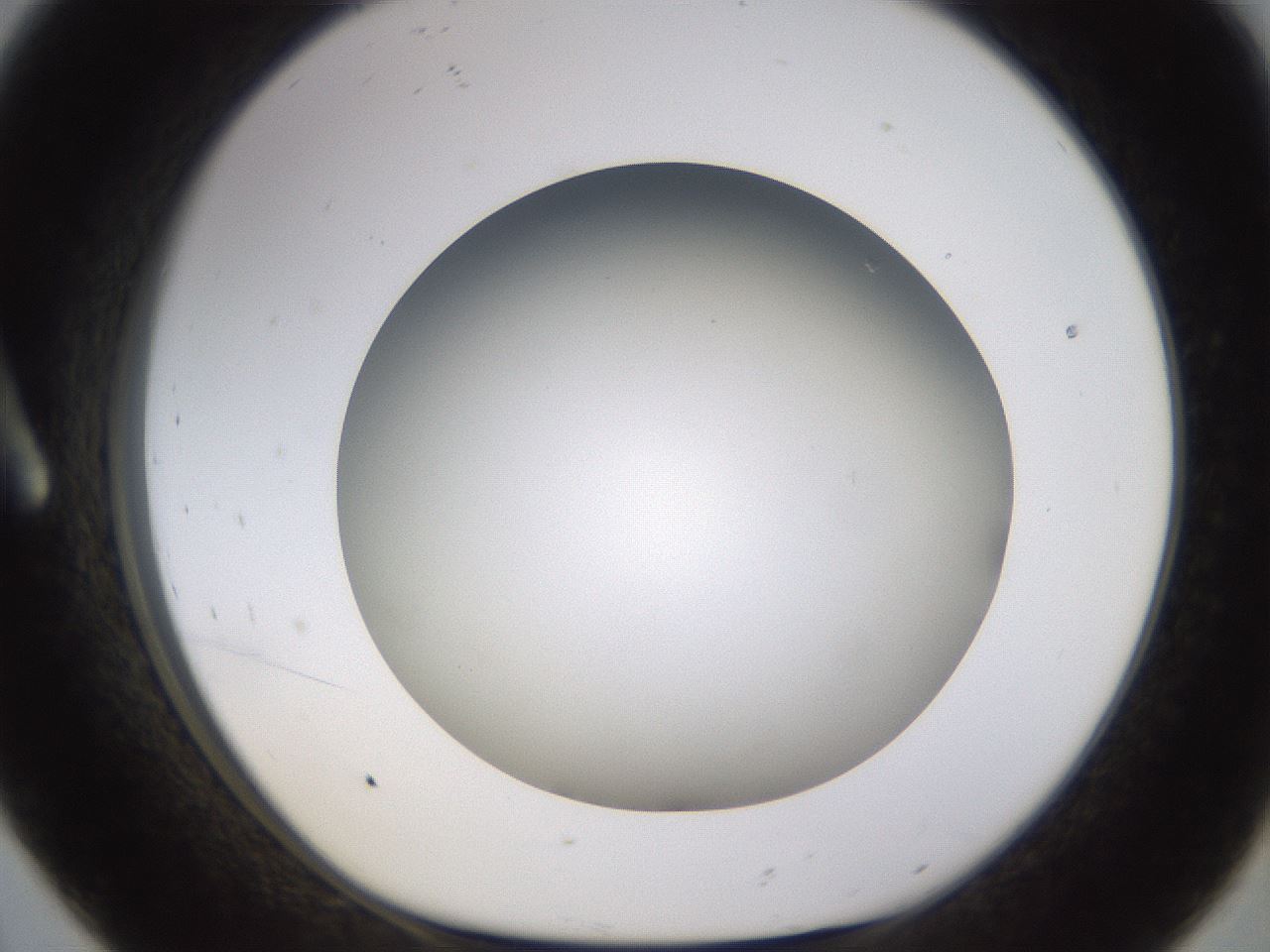 folderID571_plateID1571_batchID6357_wellNum8_profileID1_d1_r102550_ef.jpg