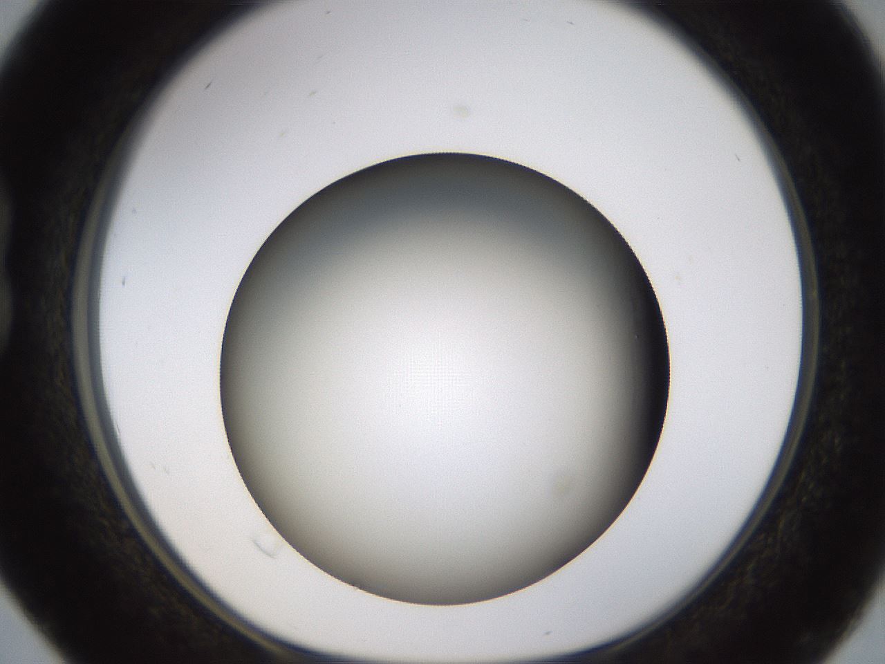 folderID571_plateID1571_batchID6366_wellNum16_profileID1_d1_r102558_ef.jpg