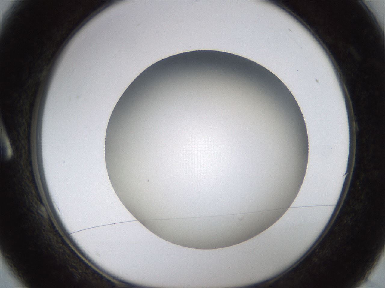 folderID571_plateID1571_batchID6366_wellNum1_profileID1_d1_r102543_ef.jpg