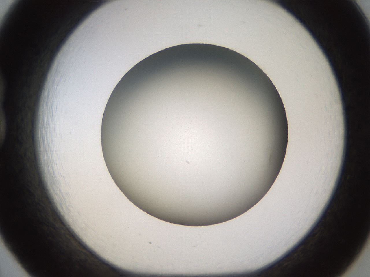 folderID571_plateID1571_batchID6366_wellNum20_profileID1_d1_r102562_ef.jpg