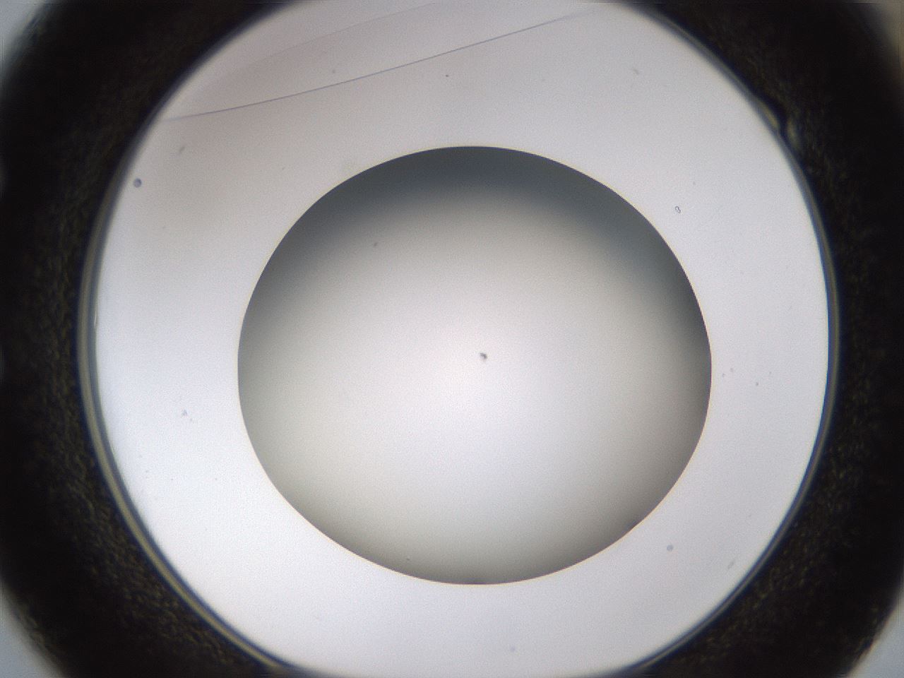 folderID571_plateID1571_batchID6366_wellNum49_profileID1_d1_r102591_ef.jpg