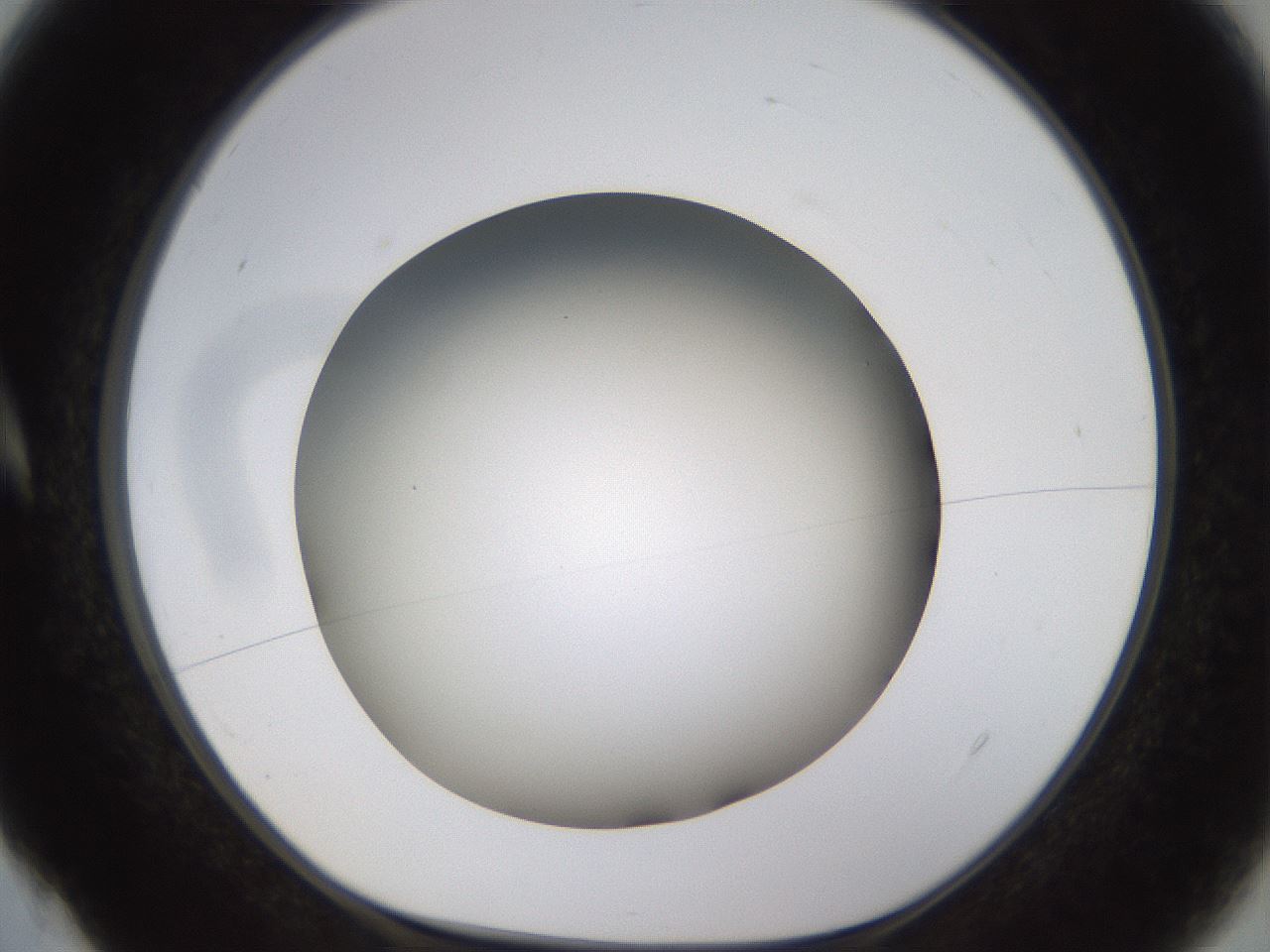 folderID571_plateID1571_batchID6366_wellNum4_profileID1_d1_r102546_ef.jpg