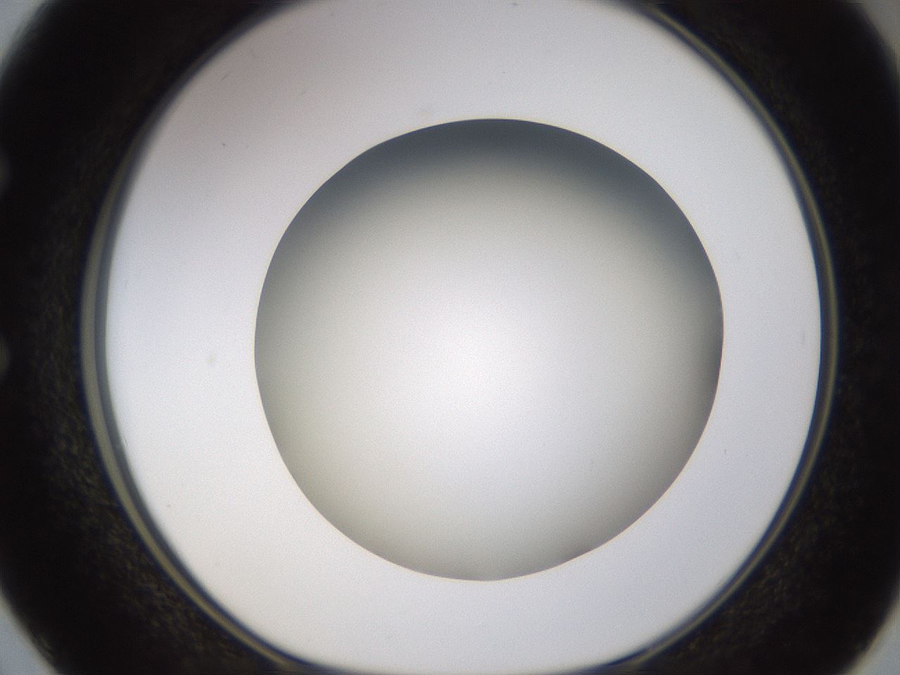folderID571_plateID1571_batchID6366_wellNum50_profileID1_d1_r102592_ef.jpg