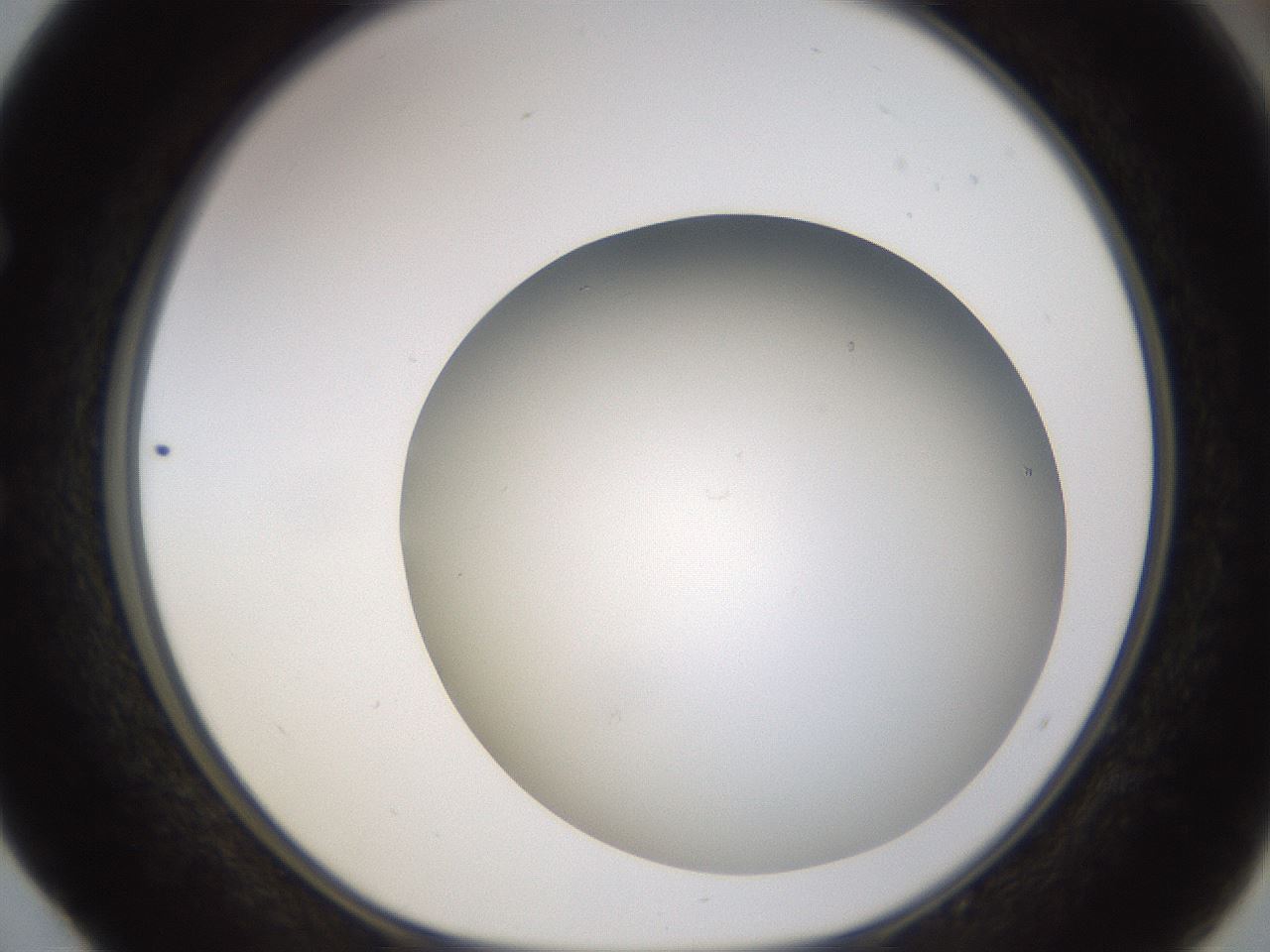 folderID571_plateID1571_batchID6366_wellNum52_profileID1_d1_r102594_ef.jpg