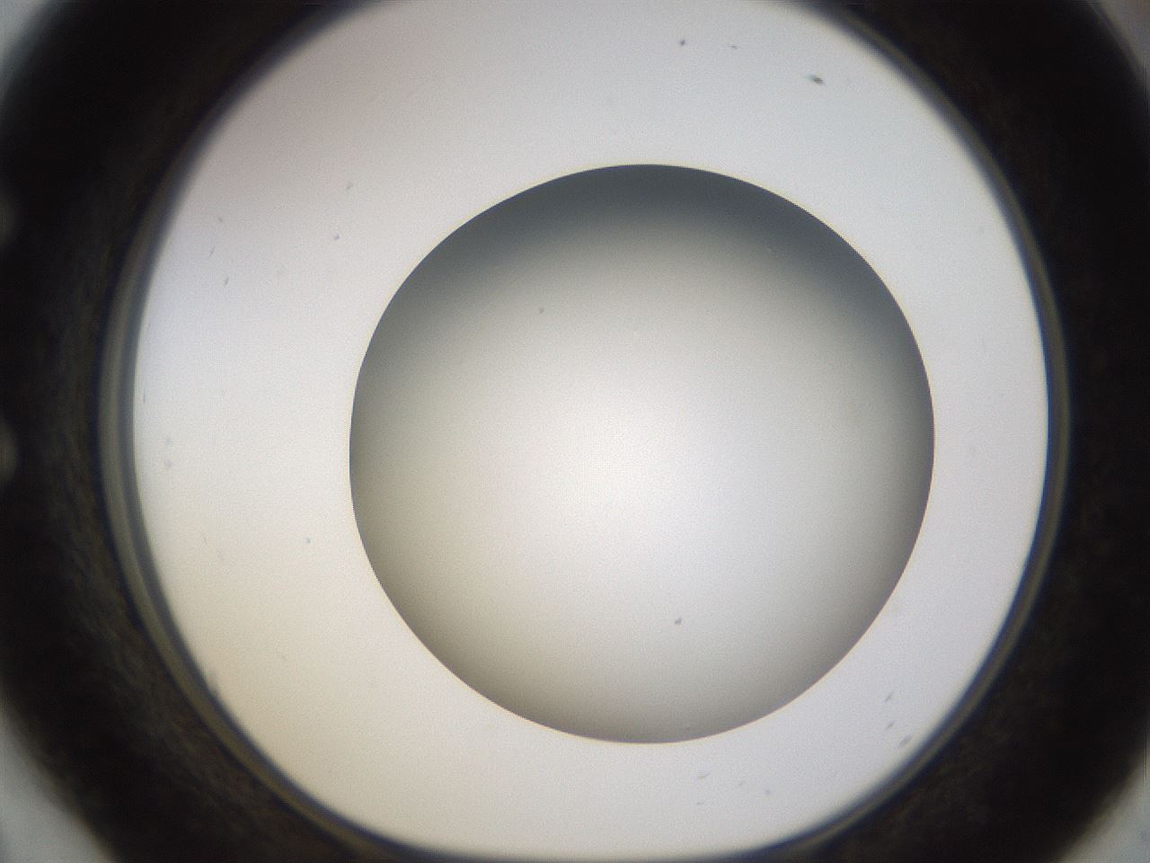 folderID571_plateID1571_batchID6366_wellNum54_profileID1_d1_r102596_ef.jpg