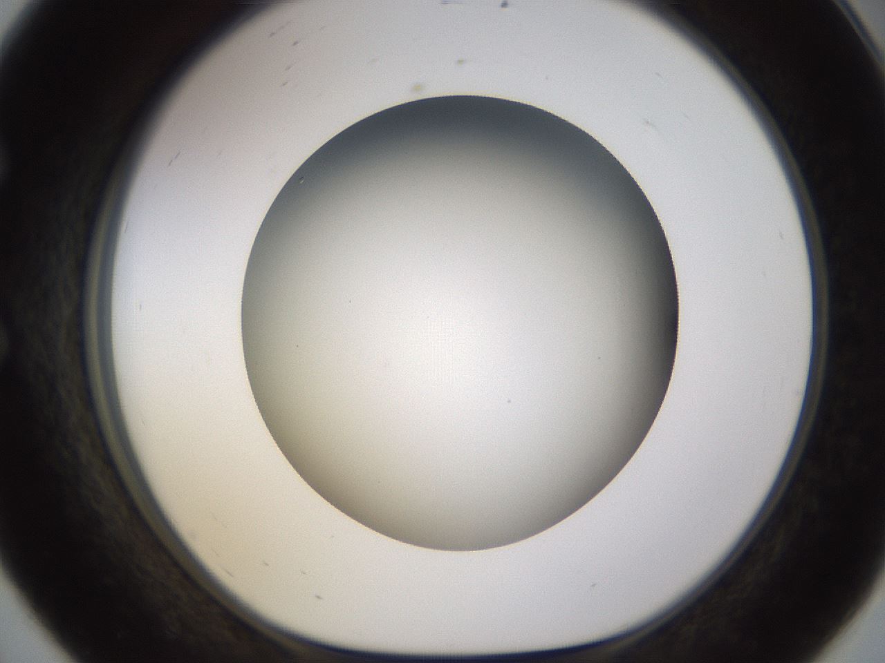 folderID571_plateID1571_batchID6366_wellNum56_profileID1_d1_r102598_ef.jpg