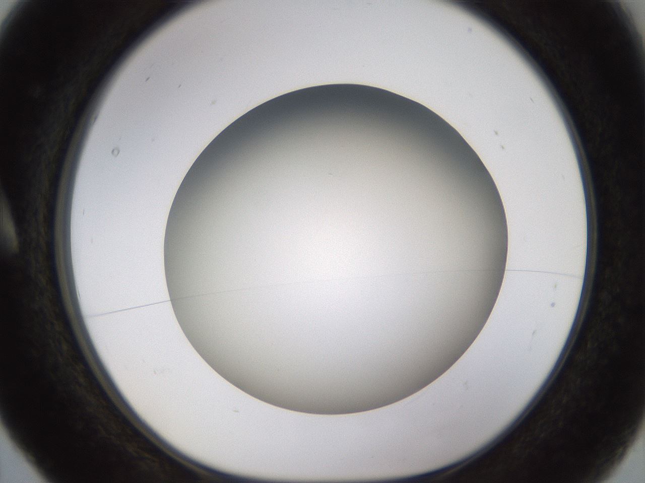 folderID571_plateID1571_batchID6366_wellNum5_profileID1_d1_r102547_ef.jpg