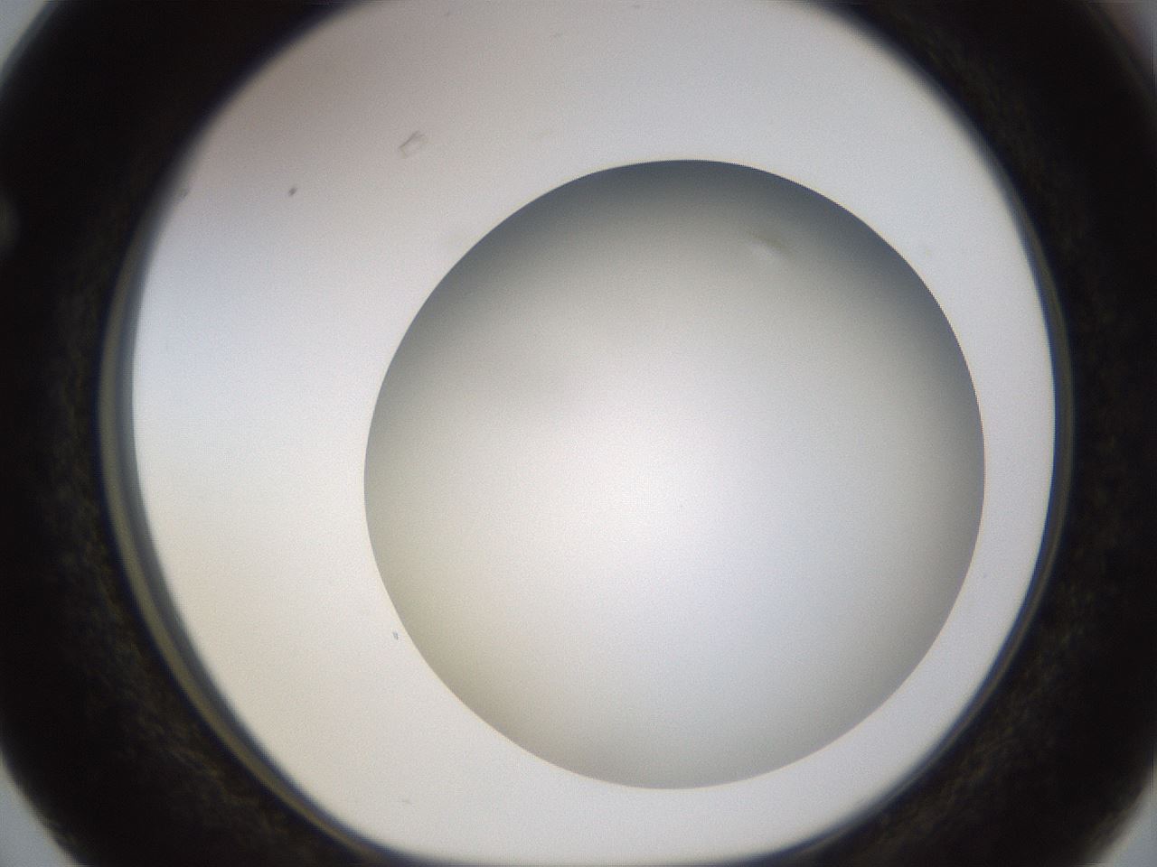 folderID571_plateID1571_batchID6366_wellNum63_profileID1_d1_r102605_ef.jpg