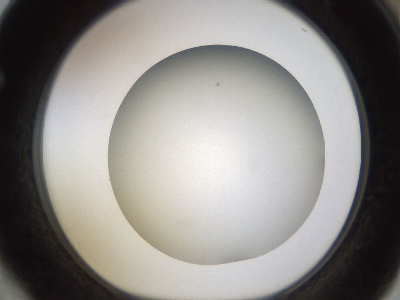 folderID571_plateID1571_batchID6366_wellNum64_profileID1_d1_r102606_ef.jpg