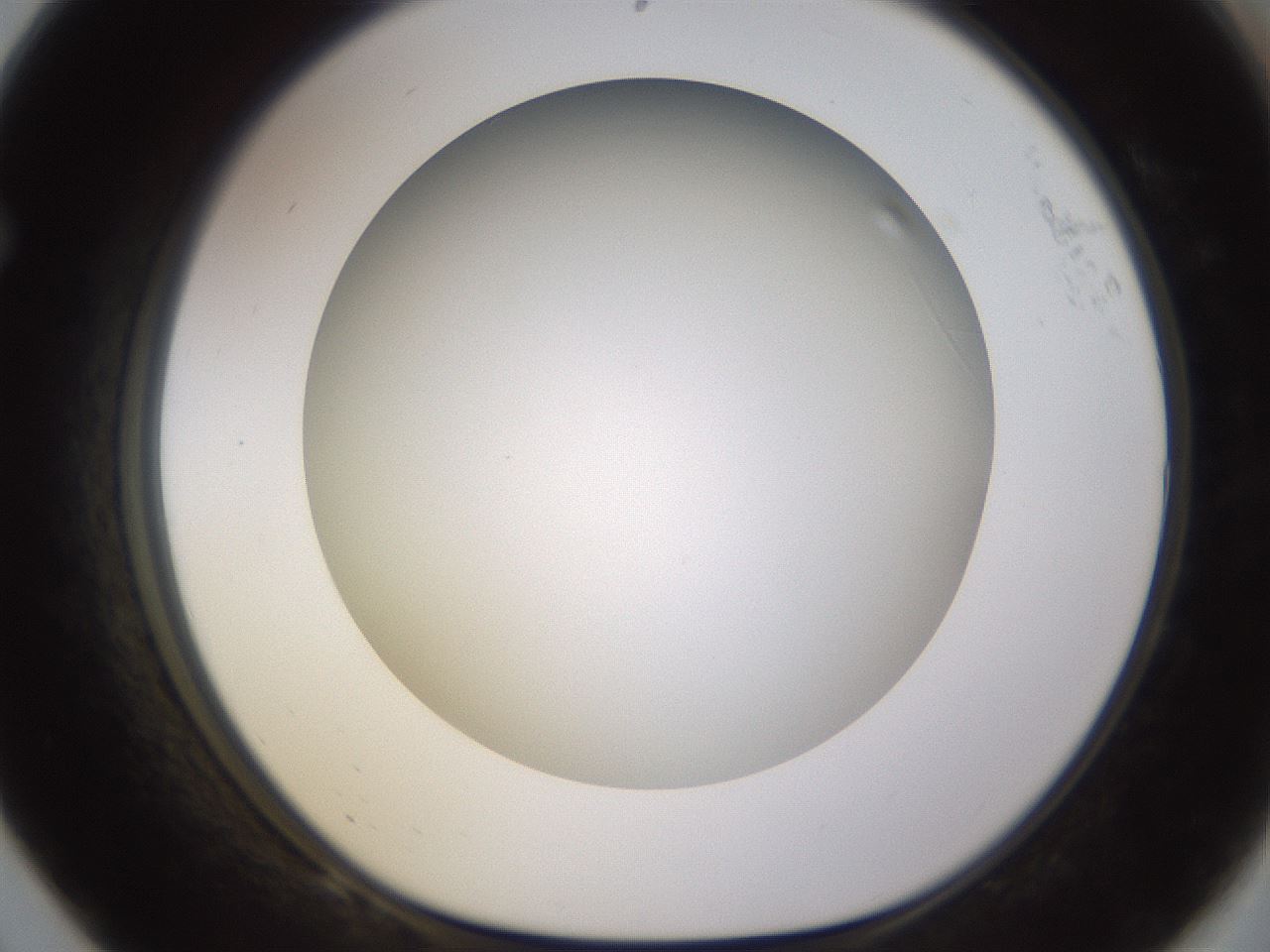 folderID571_plateID1571_batchID6366_wellNum68_profileID1_d1_r102610_ef.jpg