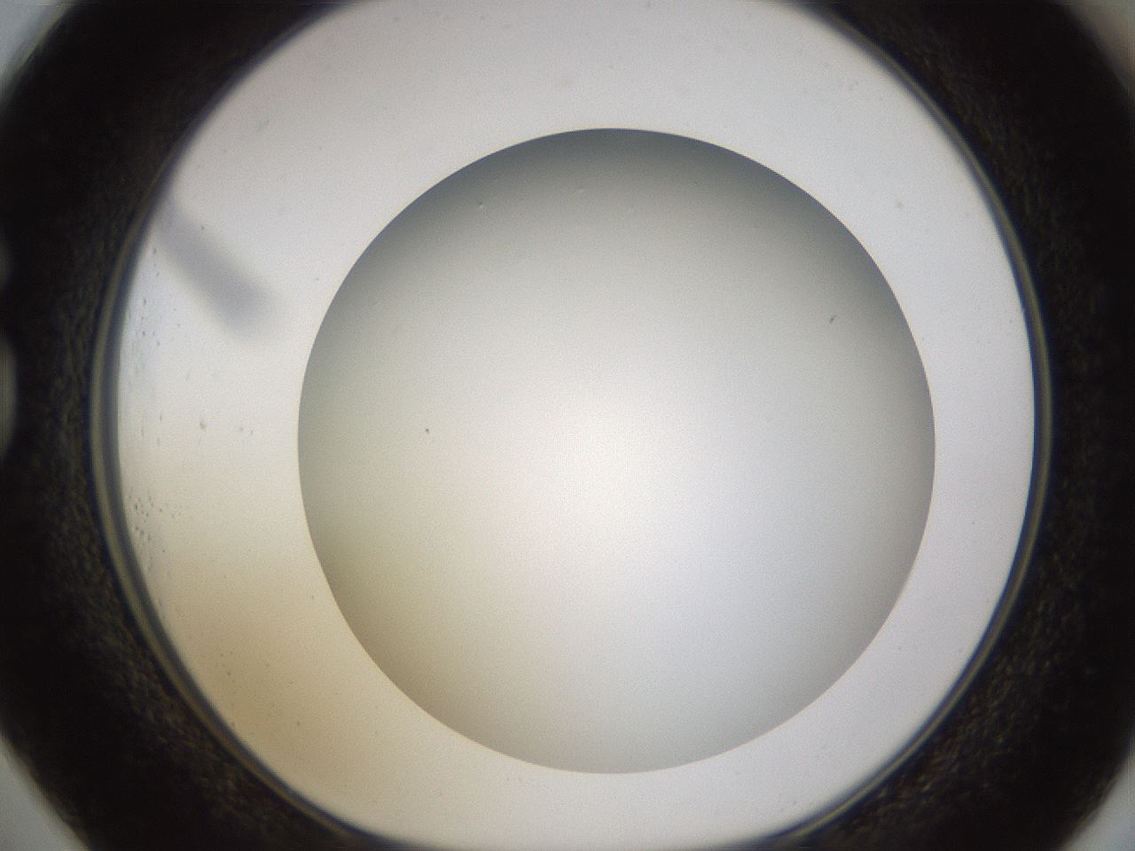 folderID571_plateID1571_batchID6366_wellNum73_profileID1_d1_r102615_ef.jpg