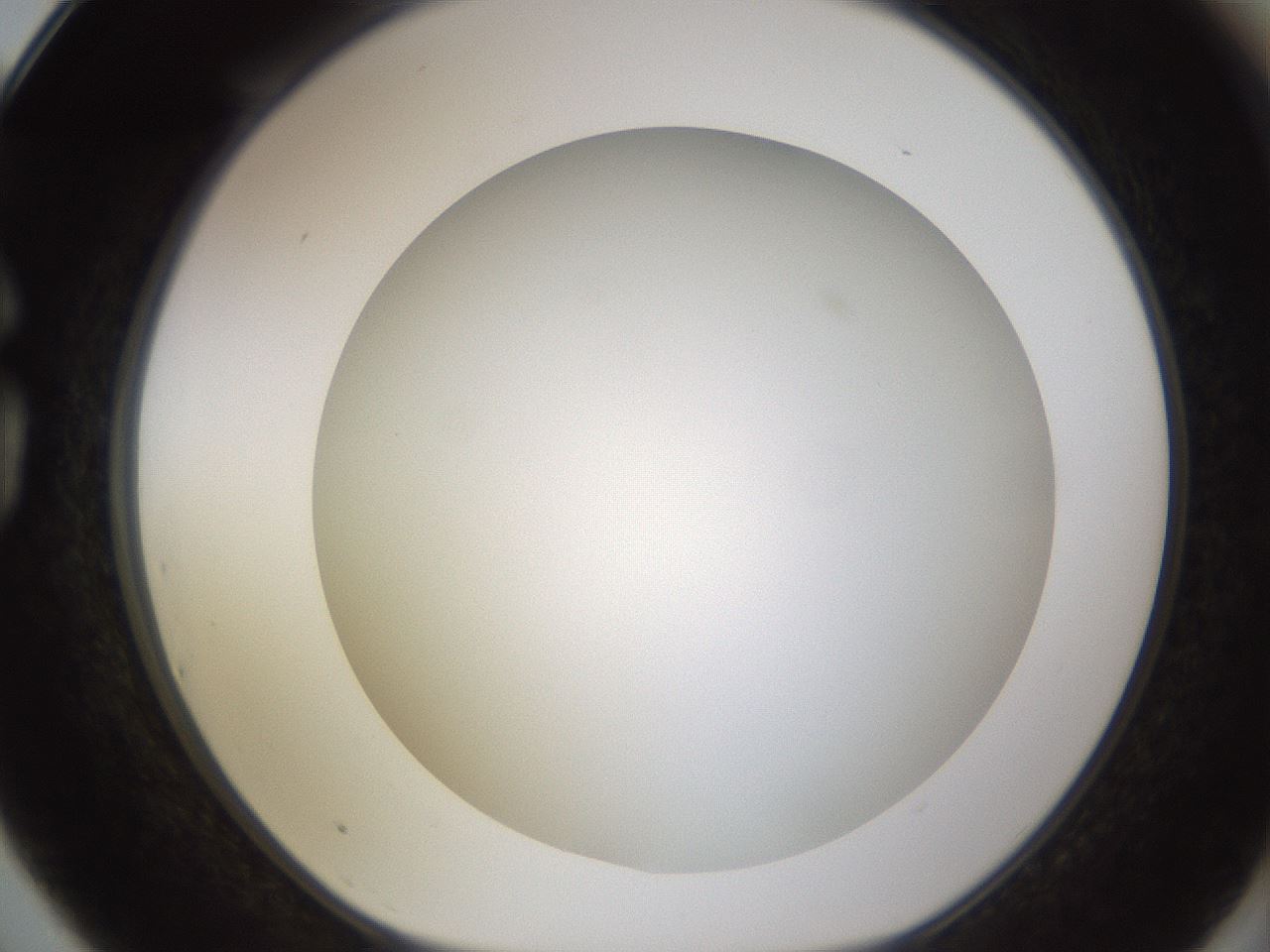 folderID571_plateID1571_batchID6366_wellNum75_profileID1_d1_r102617_ef.jpg