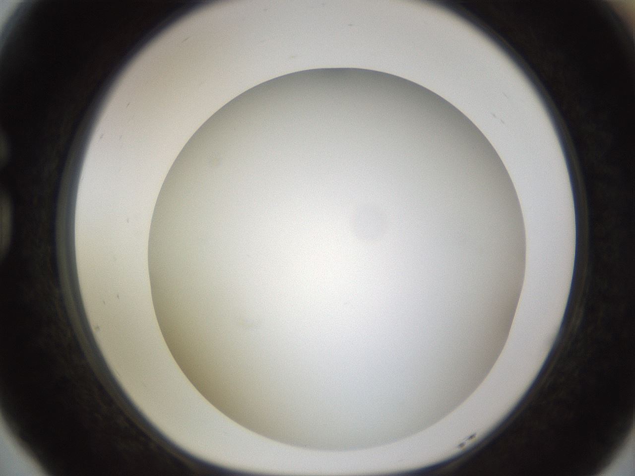 folderID571_plateID1571_batchID6366_wellNum77_profileID1_d1_r102619_ef.jpg