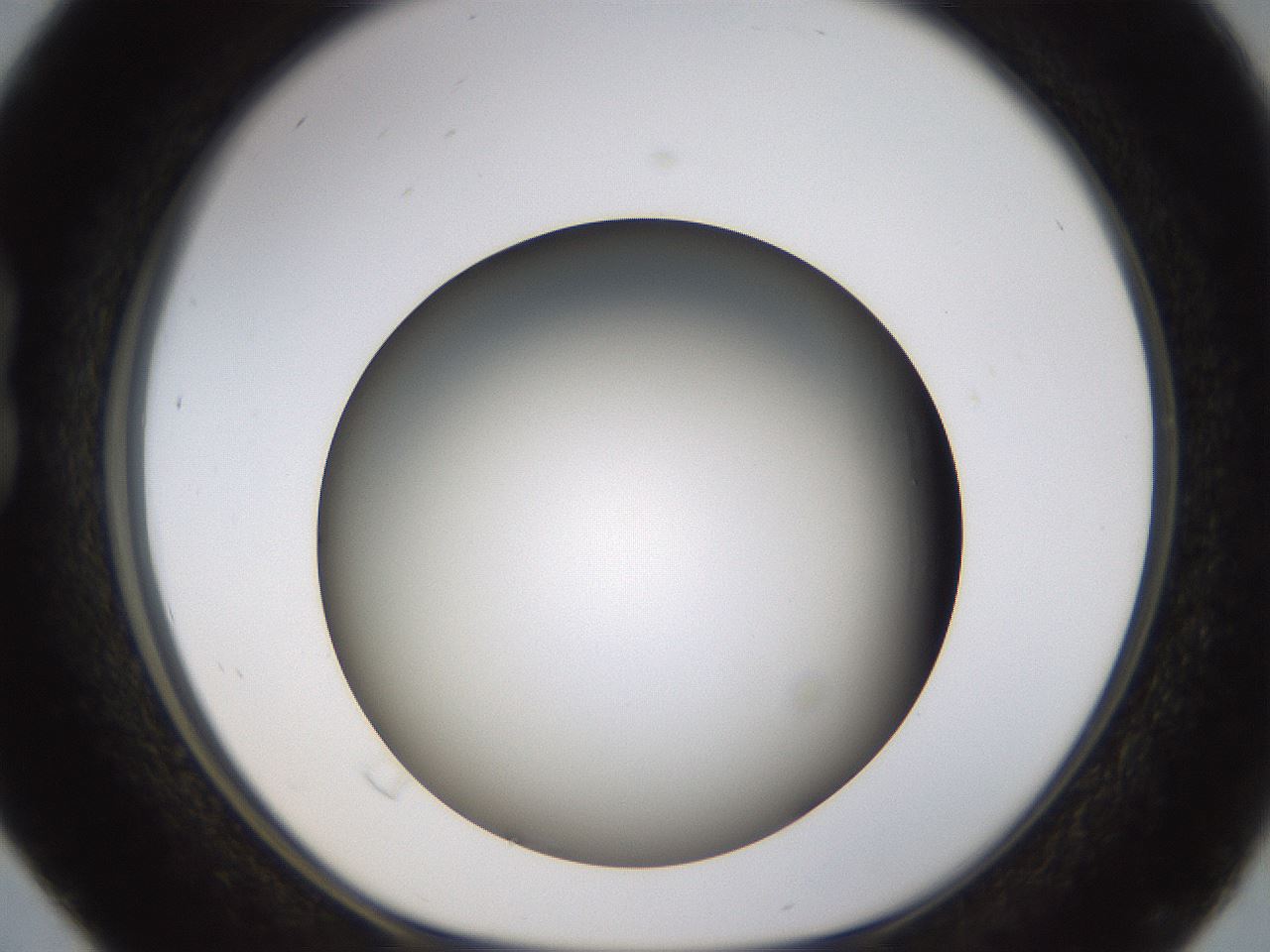 folderID571_plateID1571_batchID6375_wellNum16_profileID1_d1_r102558_ef.jpg