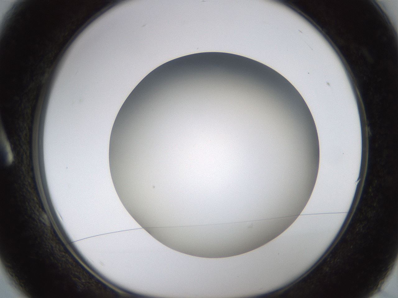 folderID571_plateID1571_batchID6375_wellNum1_profileID1_d1_r102543_ef.jpg