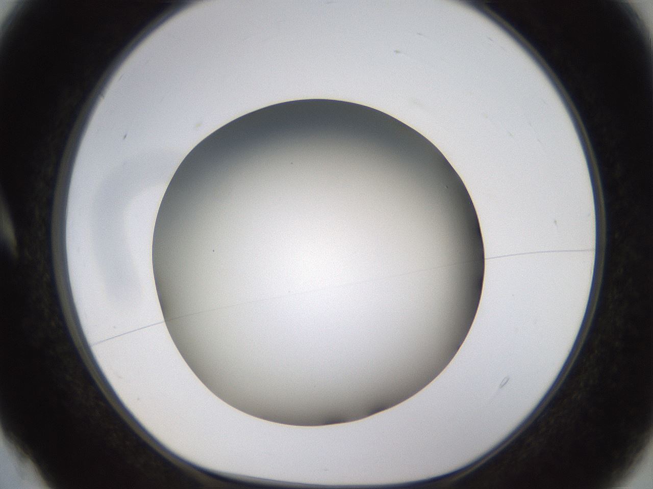 folderID571_plateID1571_batchID6375_wellNum4_profileID1_d1_r102546_ef.jpg