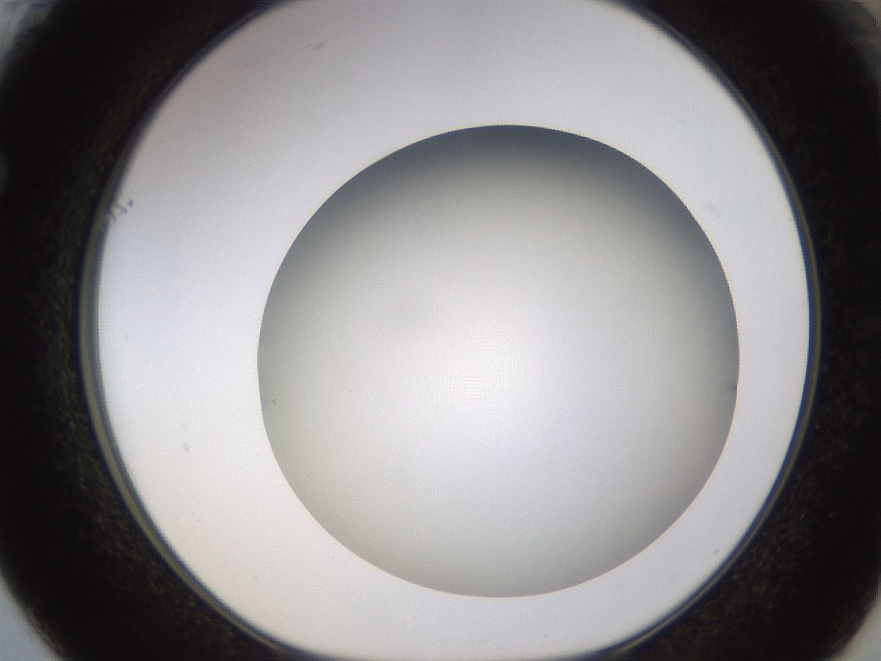 folderID571_plateID1571_batchID6375_wellNum61_profileID1_d1_r102603_ef.jpg