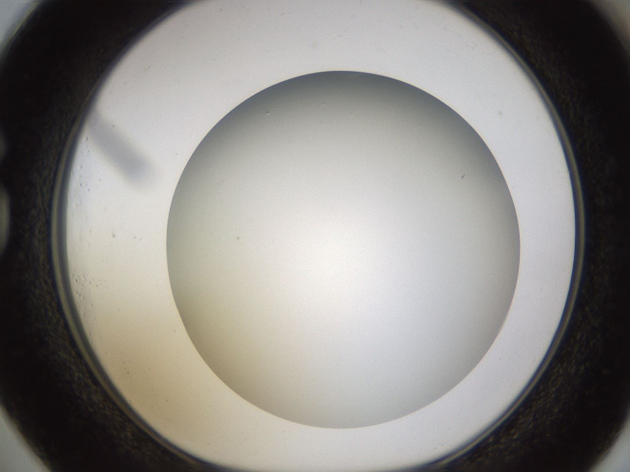folderID571_plateID1571_batchID6375_wellNum73_profileID1_d1_r102615_ef.jpg
