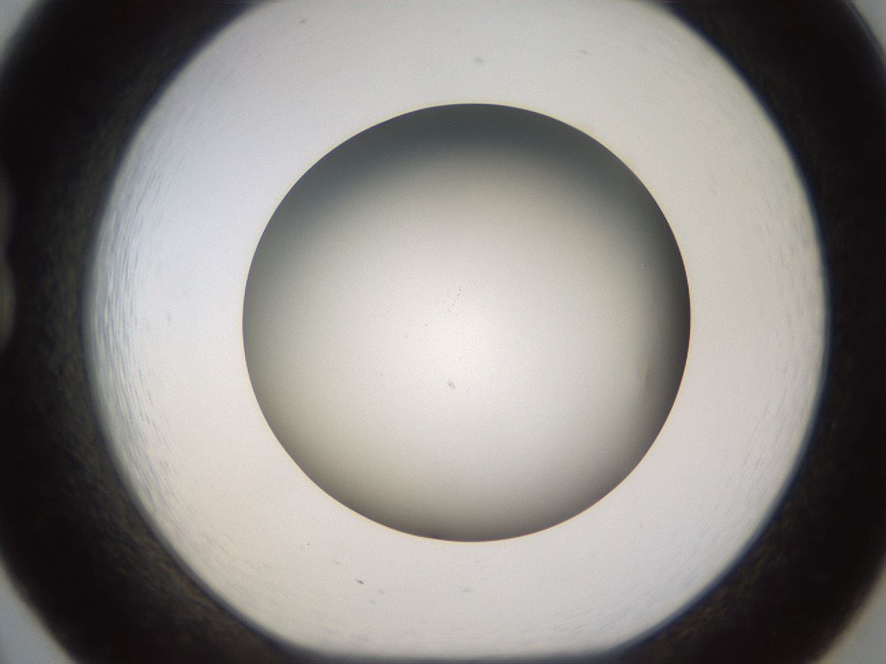 folderID571_plateID1571_batchID6375_wellNum20_profileID1_d1_r102562_ef.jpg