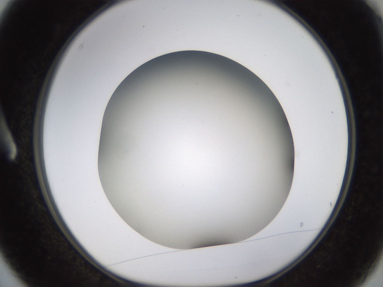 folderID571_plateID1571_batchID6375_wellNum3_profileID1_d1_r102545_ef.jpg