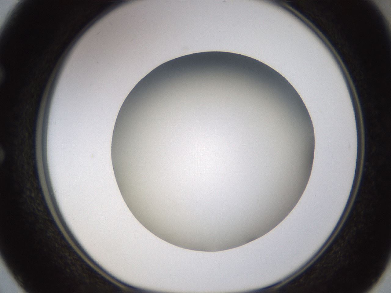 folderID571_plateID1571_batchID6375_wellNum50_profileID1_d1_r102592_ef.jpg