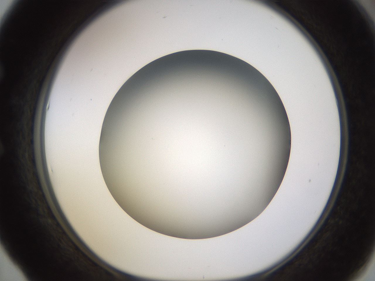 folderID571_plateID1571_batchID6375_wellNum53_profileID1_d1_r102595_ef.jpg