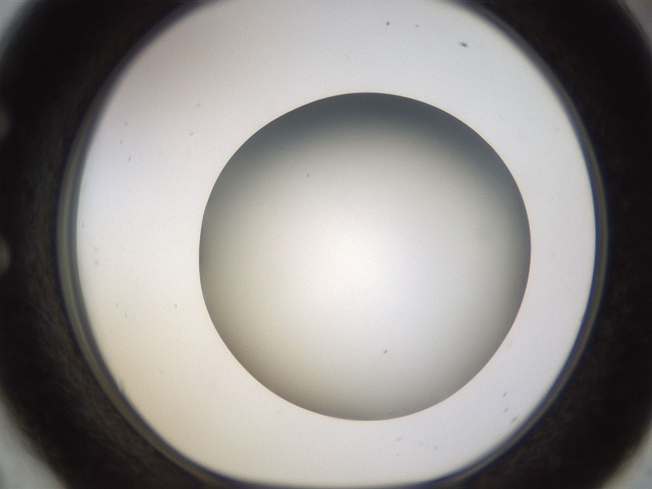 folderID571_plateID1571_batchID6375_wellNum54_profileID1_d1_r102596_ef.jpg