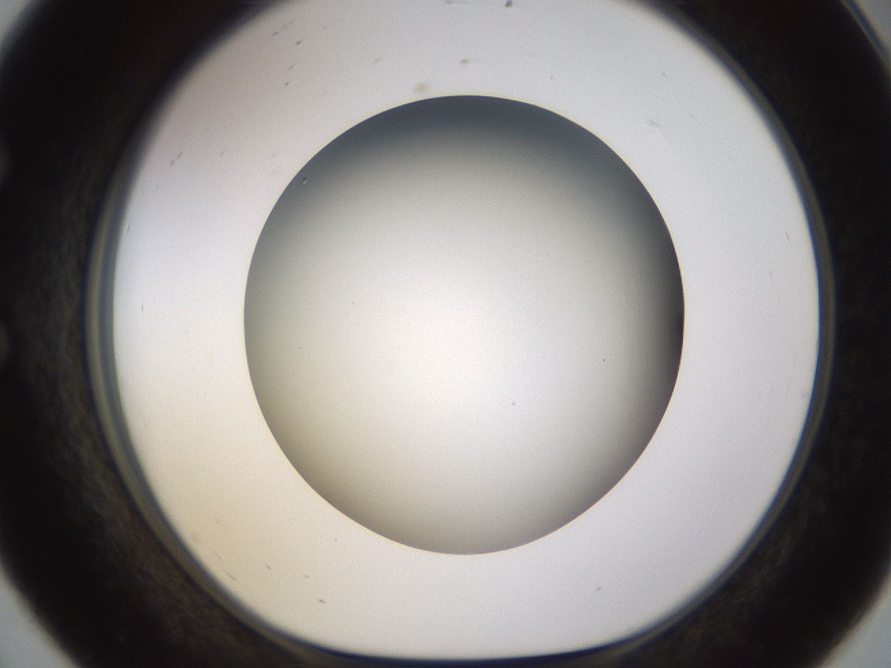 folderID571_plateID1571_batchID6375_wellNum56_profileID1_d1_r102598_ef.jpg