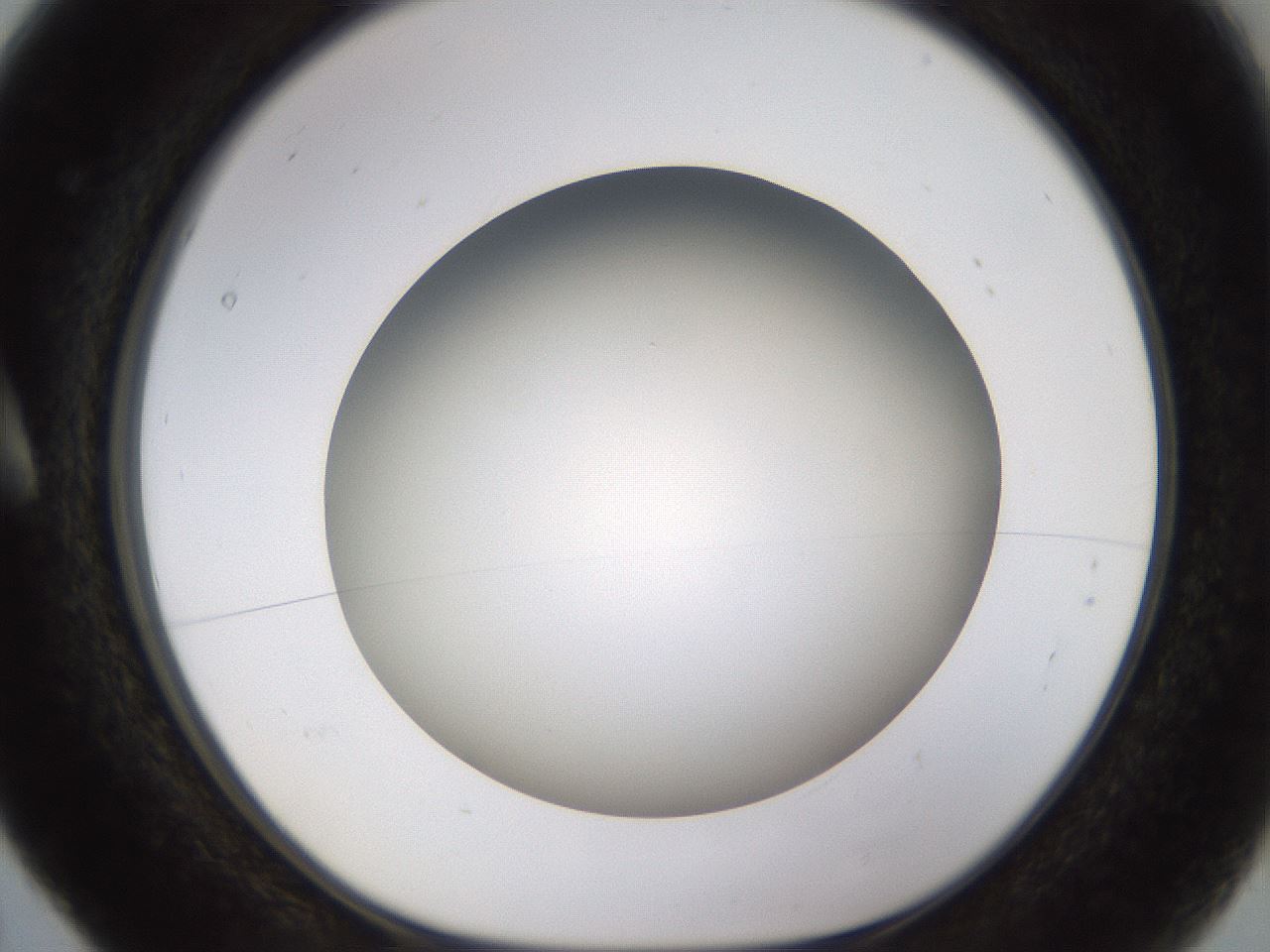 folderID571_plateID1571_batchID6375_wellNum5_profileID1_d1_r102547_ef.jpg