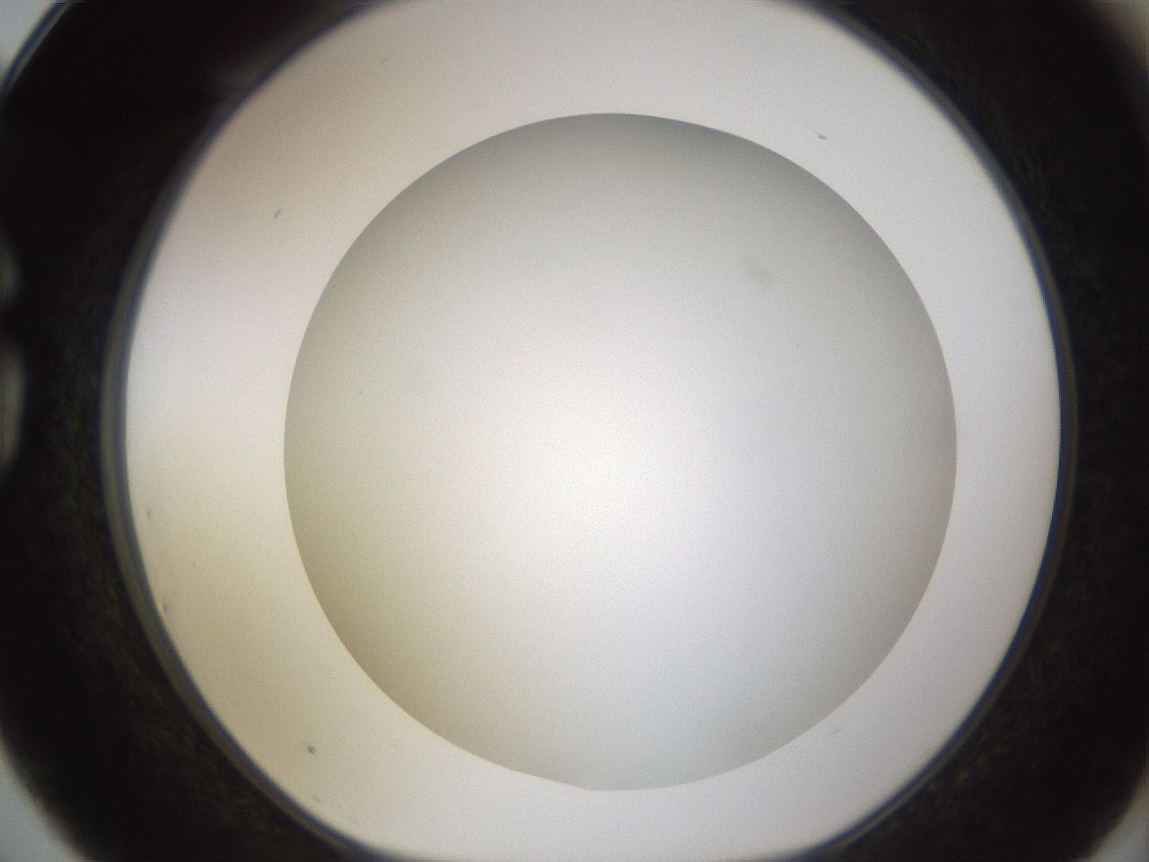 folderID571_plateID1571_batchID6375_wellNum75_profileID1_d1_r102617_ef.jpg