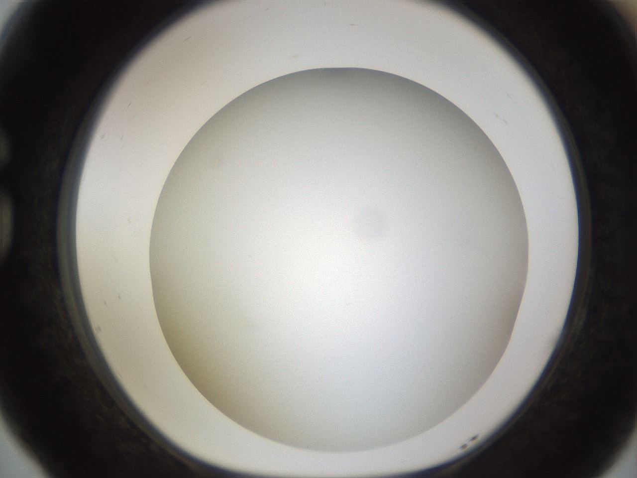 folderID571_plateID1571_batchID6375_wellNum77_profileID1_d1_r102619_ef.jpg