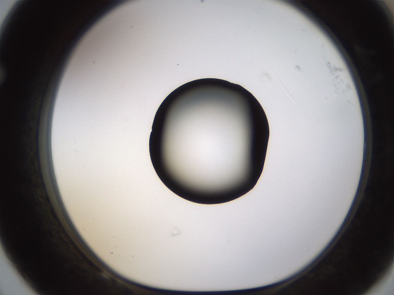 folderID573_plateID1573_batchID6360_wellNum68_profileID1_d1_r102965_ef.jpg