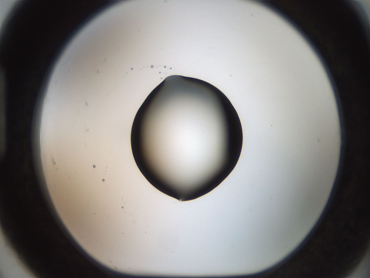 folderID574_plateID2574_batchID12939_wellNum91_profileID1_d1_r196797_ef.jpg