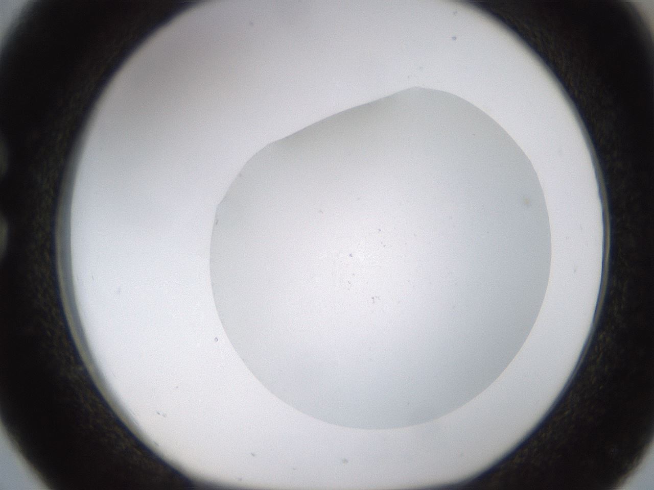 folderID574_plateID1574_batchID6362_wellNum26_profileID1_d1_r103048_ef.jpg