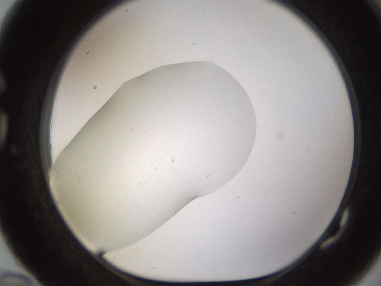 folderID574_plateID1574_batchID6362_wellNum82_profileID1_d1_r103104_ef.jpg