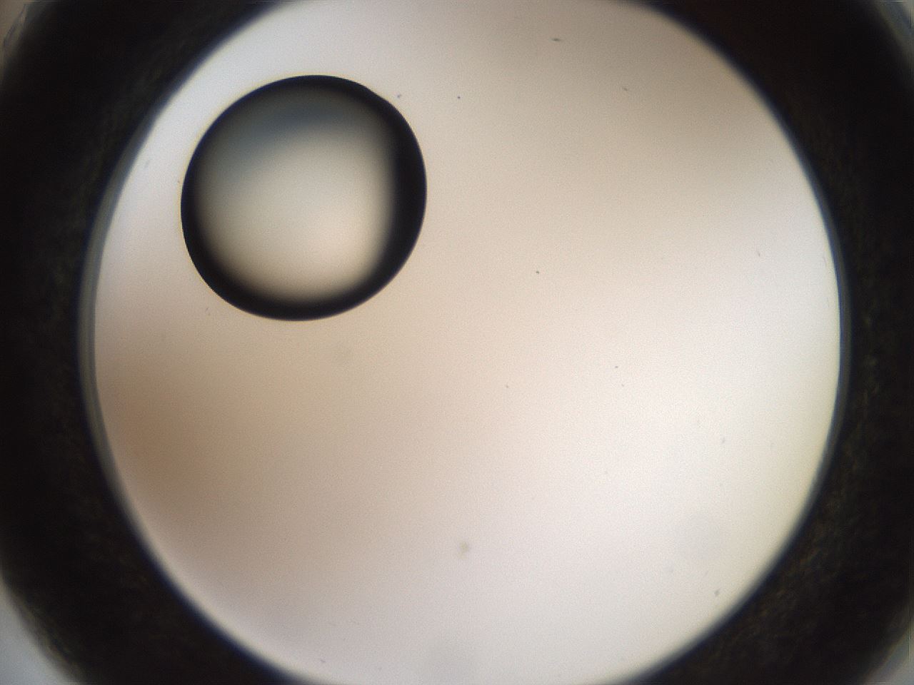 folderID574_plateID2574_batchID12939_wellNum75_profileID1_d2_r196766_ef.jpg