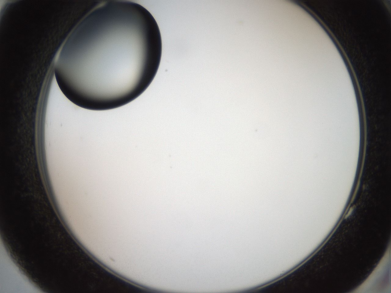 folderID574_plateID2574_batchID12939_wellNum83_profileID1_d2_r196782_ef.jpg