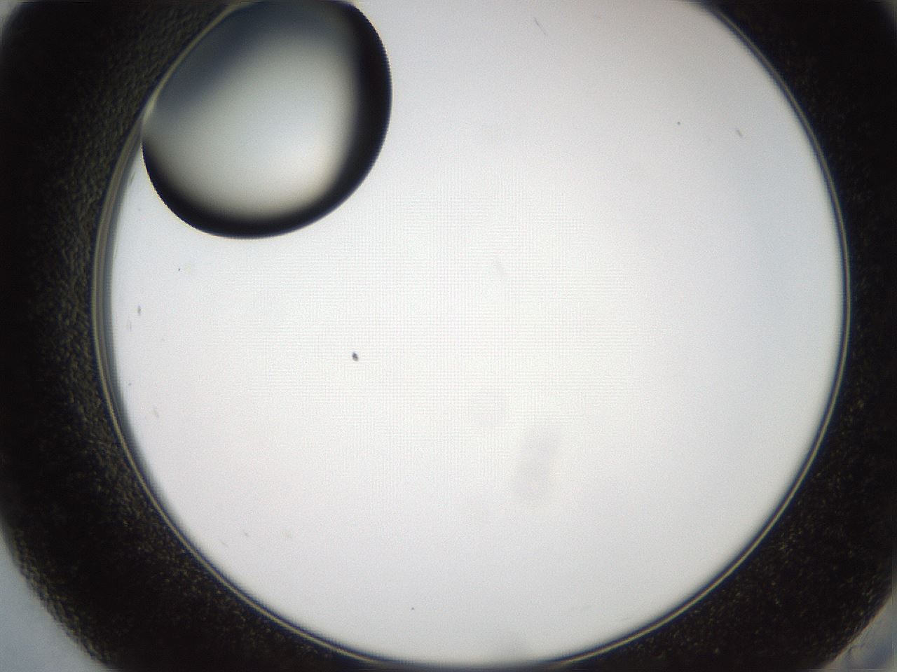folderID574_plateID2574_batchID12939_wellNum84_profileID1_d2_r196784_ef.jpg