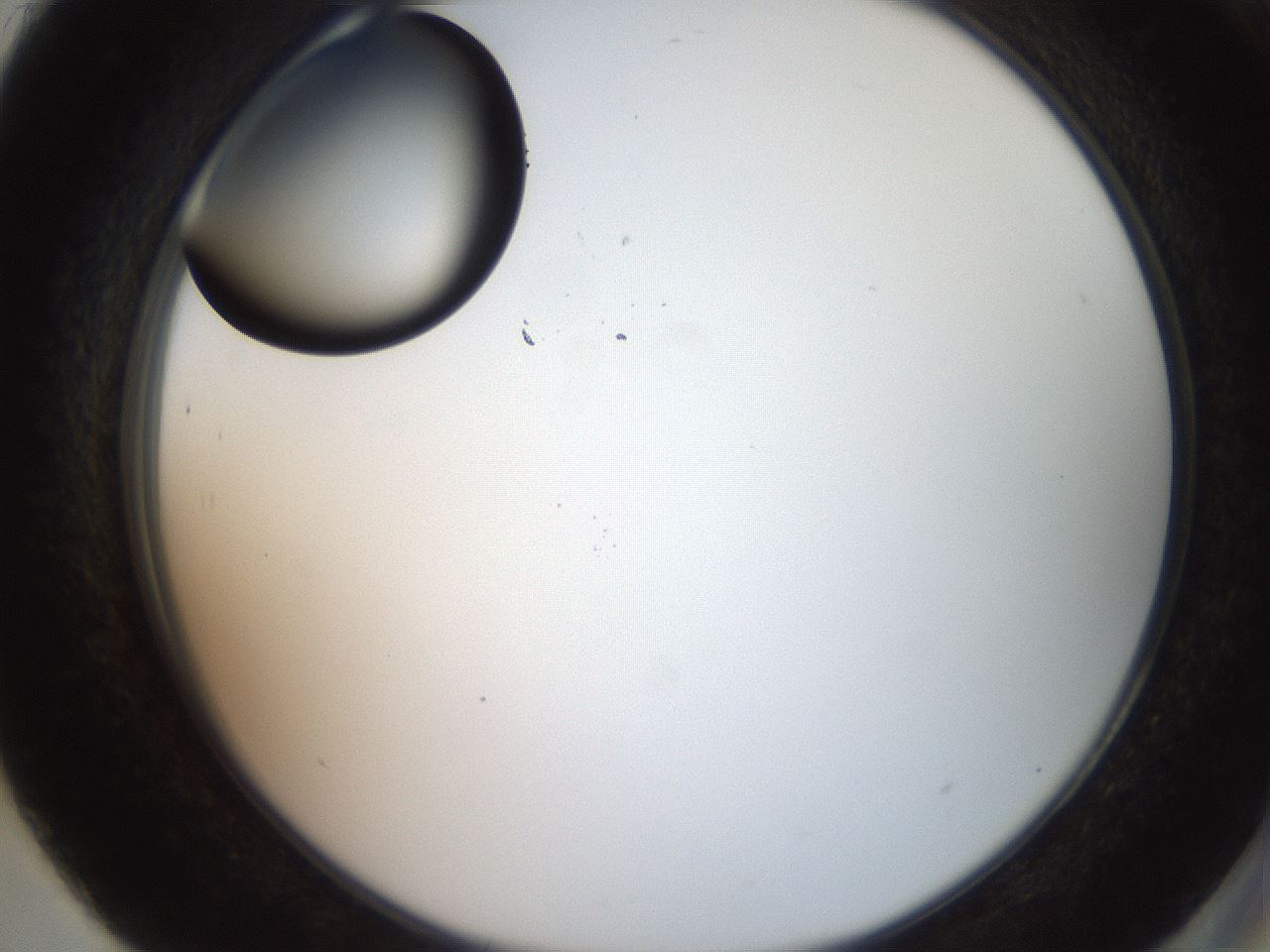 folderID574_plateID2574_batchID12939_wellNum93_profileID1_d2_r196802_ef.jpg