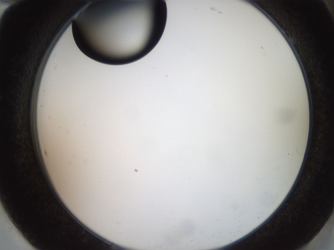 folderID574_plateID2574_batchID12939_wellNum94_profileID1_d2_r196804_ef.jpg