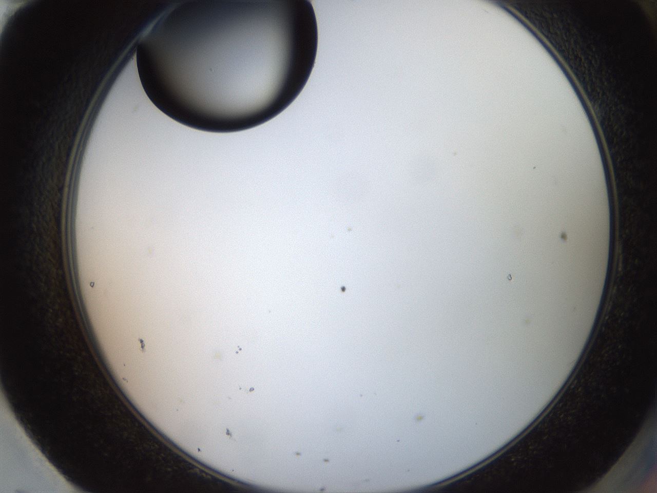 folderID574_plateID2574_batchID12939_wellNum95_profileID1_d2_r196806_ef.jpg